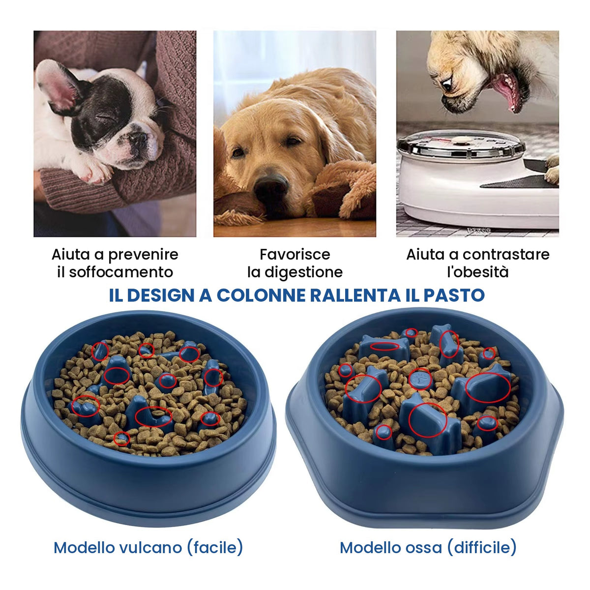 Ciotola Anti-Gonfiore 4ZAMPE