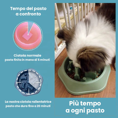 Ciotola Anti-Gonfiore 4ZAMPE